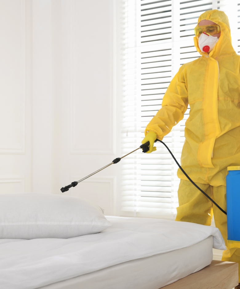 Professional Pest Control Team in Westbourne Park